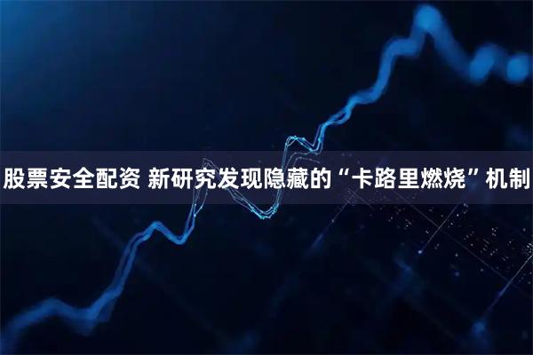 股票安全配资 新研究发现隐藏的“卡路里燃烧”机制